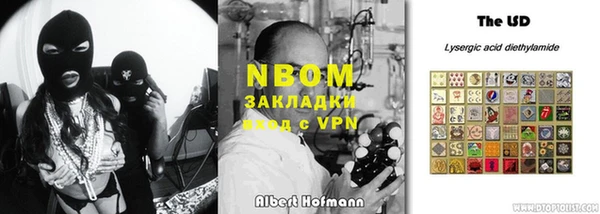 кокс Инсар