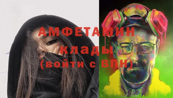 стафф Инта