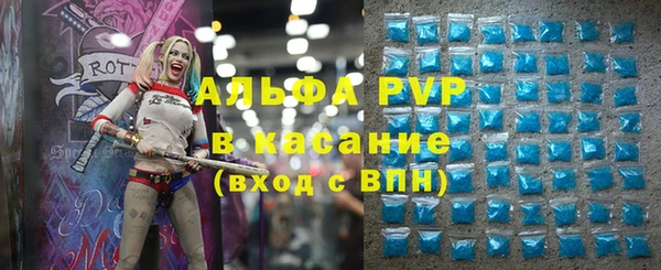 стафф Инта