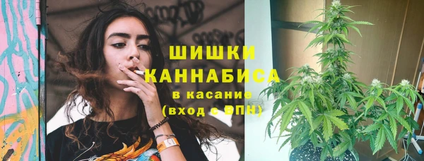 кокс Инсар