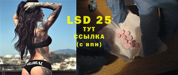 стафф Инта