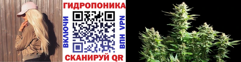 Купить закладки  Прохладный  МАРИХУАНА тримм 